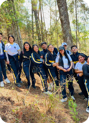 bscollege11 bscollege11