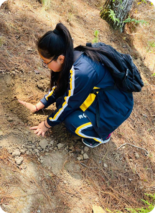 bscollege2 bscollege2